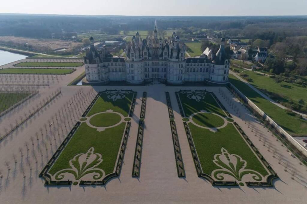 Les Bruyeres De Jeanne Et Rene Zoo De Beauval A 20Min,Chateaux Tout Inclus Fontguenand 외부 사진