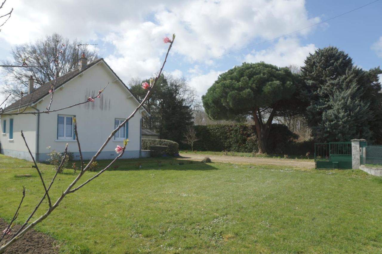 Les Bruyeres De Jeanne Et Rene Zoo De Beauval A 20Min,Chateaux Tout Inclus Fontguenand 외부 사진