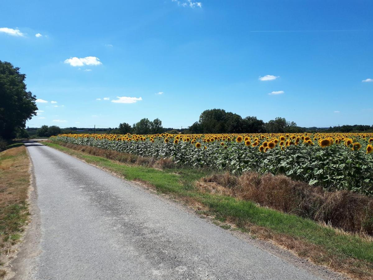 Les Bruyeres De Jeanne Et Rene Zoo De Beauval A 20Min,Chateaux Tout Inclus Fontguenand 외부 사진