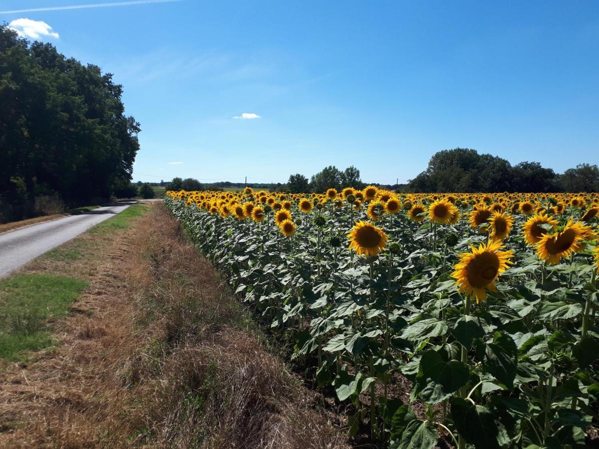 Les Bruyeres De Jeanne Et Rene Zoo De Beauval A 20Min,Chateaux Tout Inclus Fontguenand 외부 사진